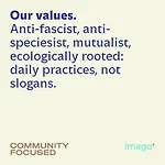 Imago 바리